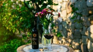 Kakheti Qvevri Wine Tour & Tasting at Twins Cellar