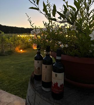 Degustación y almuerzo ligero en Podere Casanova