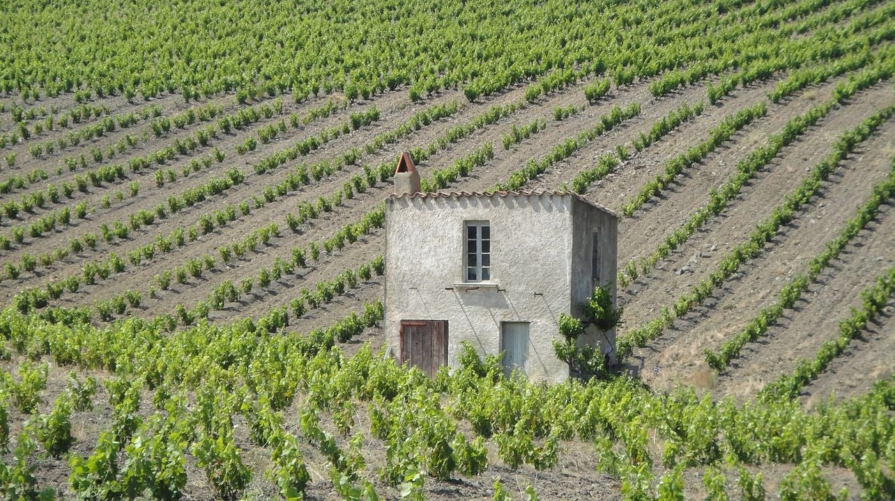 Domaine Chaluleau Pons