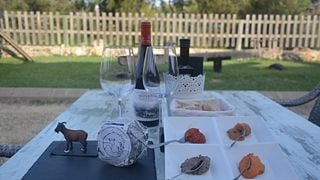 Degustazione di vini e formaggi di Maiorca