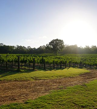 Upper Reach Winery