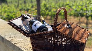 Mad Wine