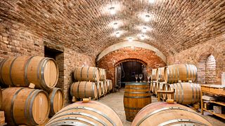 Discover Piedmont Wines in a Natural Vineyard Amphitheatre