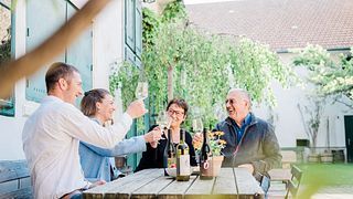 Cata de vinos y visita a la bodega en Weingut Österreicher