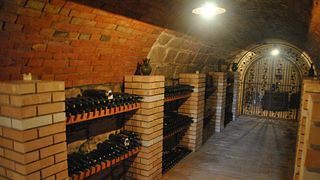 Vinprovning och rundtur i Gombai Grape Cellar