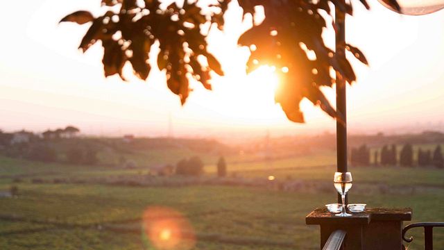 Weintour mit Verkostung und Mittagessen