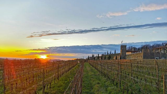 Santomas Winery