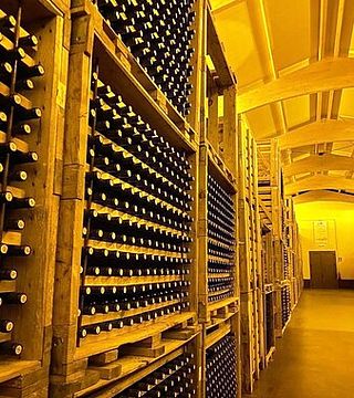 Cata y visita de vinos en Santalba