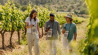 Can Calopa De Dalt Winery