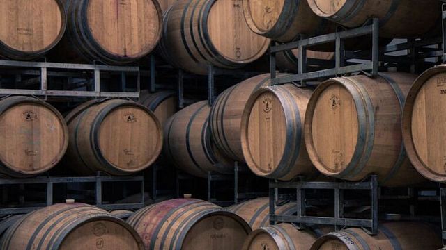 Degustazione di vini e visita alla Bodega Caelum