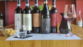 Veneto Vineyards: Valpolicella Wine Tasting