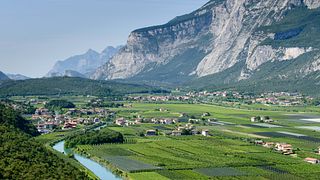 Pisoni Winery