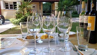 Dégustation de vins et visite chez Rj Viñedos