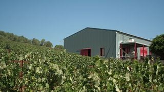 Cretan Vineyard Tour & Wine Tasting at Klados