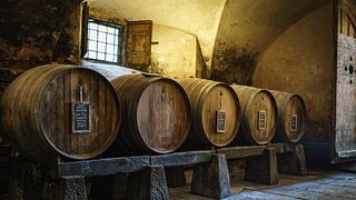 A degustação completa de vinhos