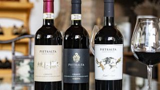 Dégustation de vins à Pietralta