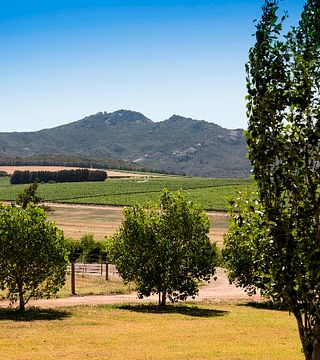 Vinprovning och rundtur på Doran Vineyards