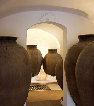 Alentejo Talha Wine Tour & Tasting at Rézio Winery