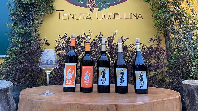 Dégustation et visite de vins populaires à Tenuta Uccellina