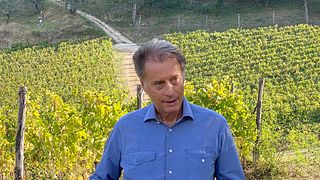 Lazio's Ancient Maturano: Rare Organic Wine Tasting
