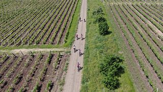 Grüne Hügel – Fahrrad- und Wein-Fluchttage