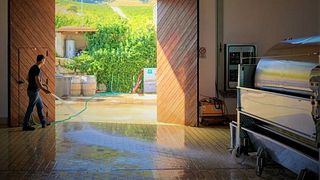Sicily’s Organic Wine & Vineyard Journey