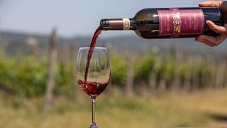 Visite guidée et dégustation de vin Brunello à Tenute Silvio Nardi
