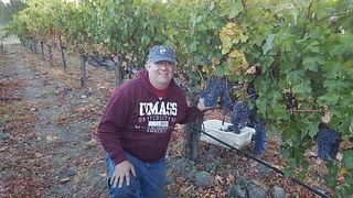 Cabana Winery