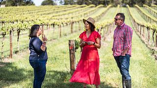 Paisley Wines
