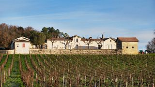 Visite et dégustation de vins au domaine viticole du Château Beaulieu