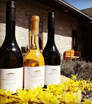 Degustación de vinos premium en Karádi-Berger