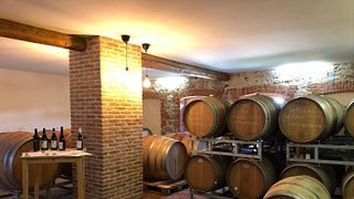 Upplev Terre del Crearios vinkultur