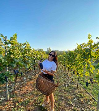 Mani nella vite: vivi la magia della vendemmia alla Purple Eye Estate