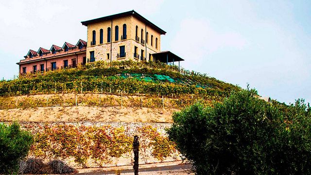Bodegas Manzanos