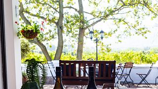 Piccola degustazione di vini presso Ken Forrester Wines