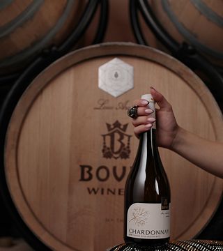 Dégustation de vin verticale au domaine Bovin