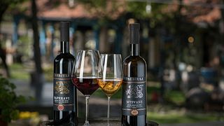 Variedad de uva Saperavi | Cata de vinos en la bodega Shumi