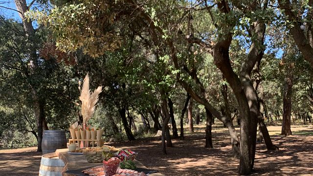 Aperitivo de jardín en el castillo de Paraza