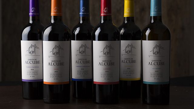 Besuch des Weinkellers mit Weinprobe in Quinta de Alcube