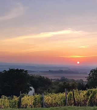 Varsádi Winery and Guesthouse Somló