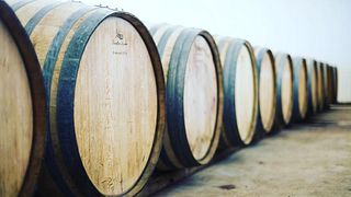 Degustazione di vini e visita allo Château Vieux Landat