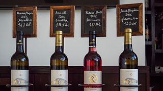 Degustação de 3 vinhos com harmonização de alimentos.