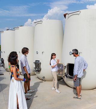 Prosecco-Weinprobe + Vorspeisen + Weingut- und Weinbergführungen in Valdobbiadene 