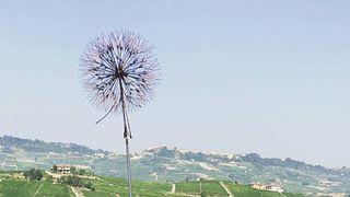 Cascina Bruni Winery
