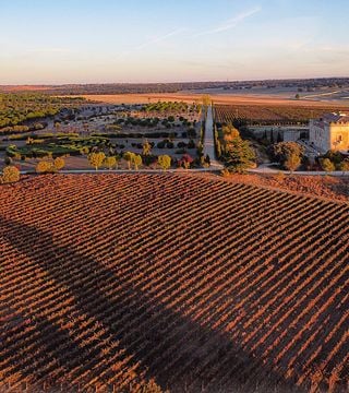 Dégustation de vins au château