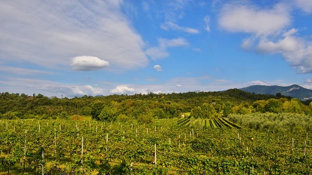 Degustação de vinhos no Podere dei Folli