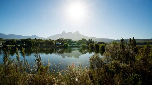 Chenin Blanc-Verkostung von Ken Forrester Wines