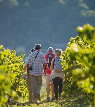 Cata de vinos y recorrido de senderismo en Domaine Rocheville