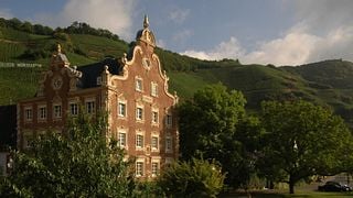 Mosel Wine Journey: Taste Terroir at Weingut Mönchhof