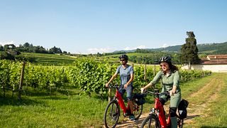 Bicicleta eléctrica Valpolicella Classica y vino